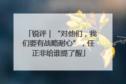 锐评｜“对他们，我们要有战略耐心”，任正非给谁提了醒